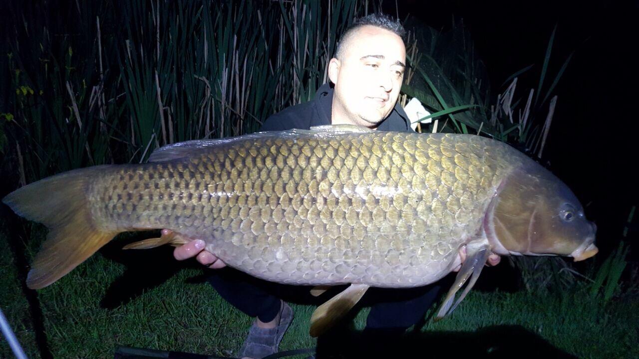 ISOLA DEL PESCATORE 14 - 15 mai 2017 - img9993.JPG